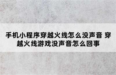 手机小程序穿越火线怎么没声音 穿越火线游戏没声音怎么回事